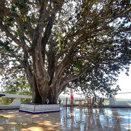 Casa Magnolia, A Rural Paradise House With Pool Alzira Exterior foto