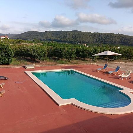 Casa Magnolia, A Rural Paradise House With Pool Alzira Exterior foto