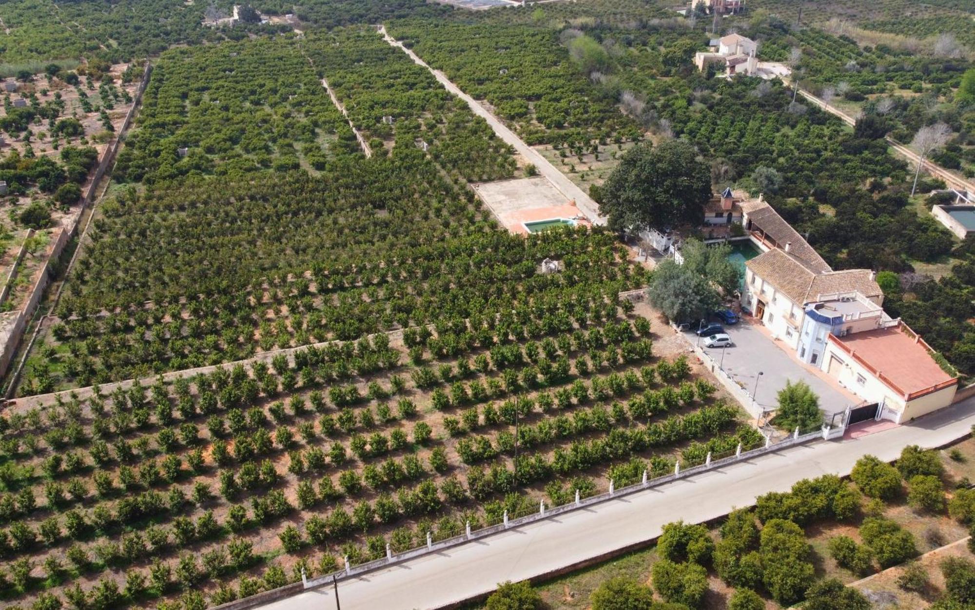 Casa Magnolia, A Rural Paradise House With Pool Alzira Exterior foto