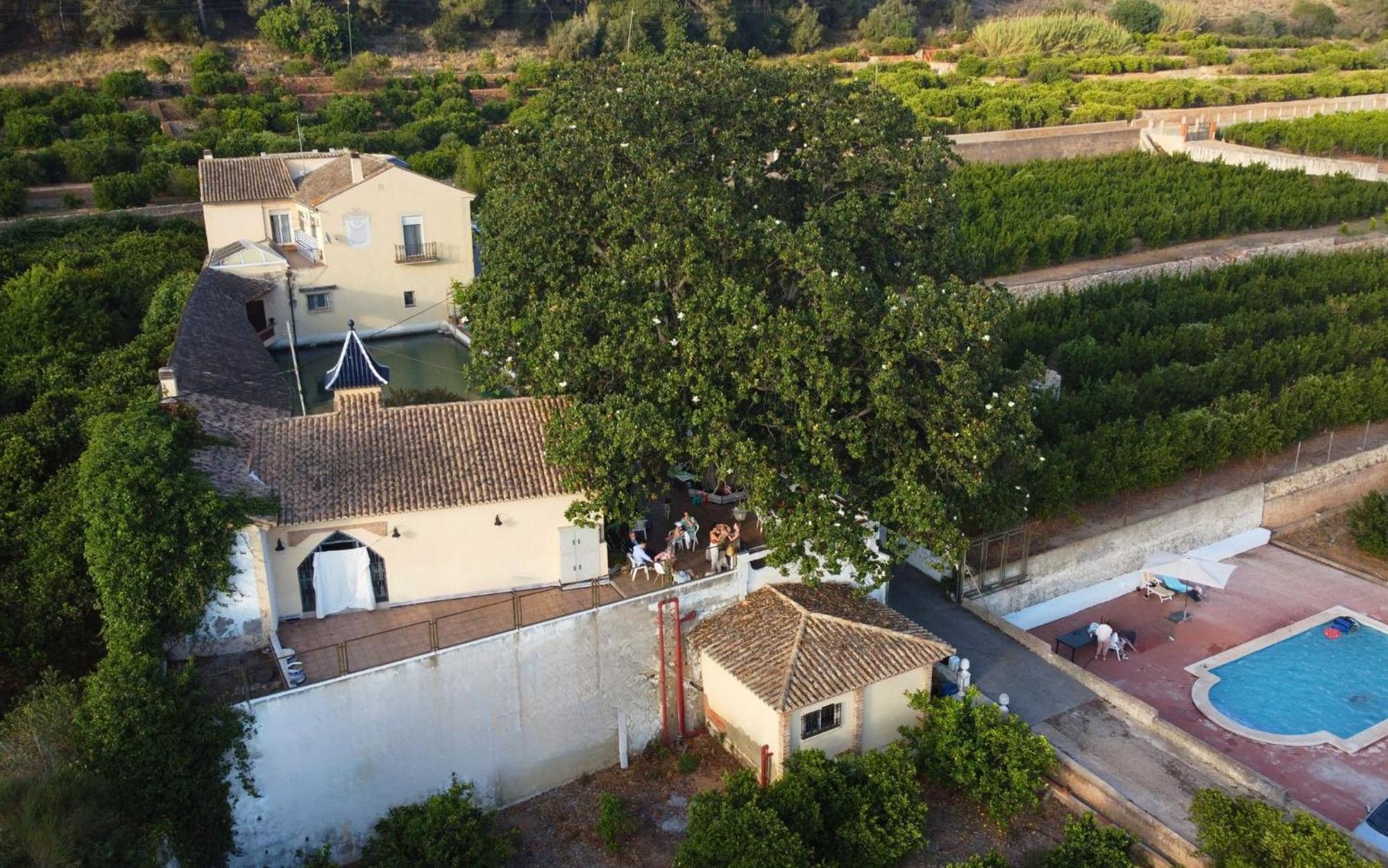 Casa Magnolia, A Rural Paradise House With Pool Alzira Exterior foto