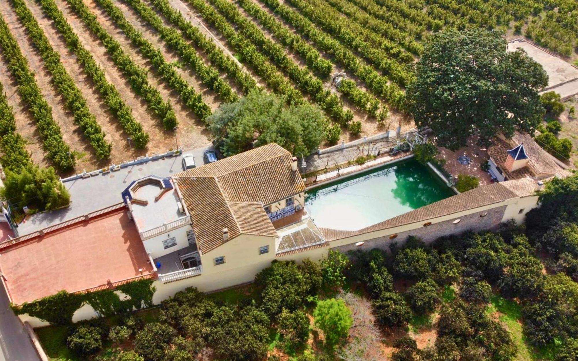 Casa Magnolia, A Rural Paradise House With Pool Alzira Exterior foto